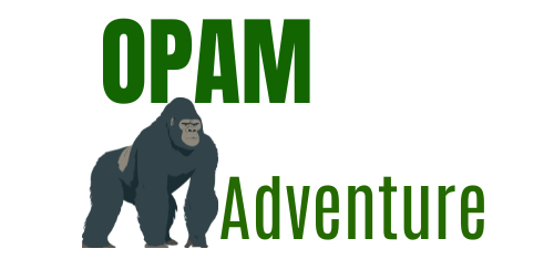 Pearl Gorilla Tracking Expeditions
