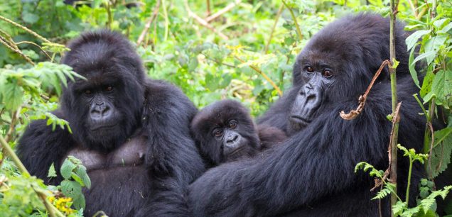 Uganda