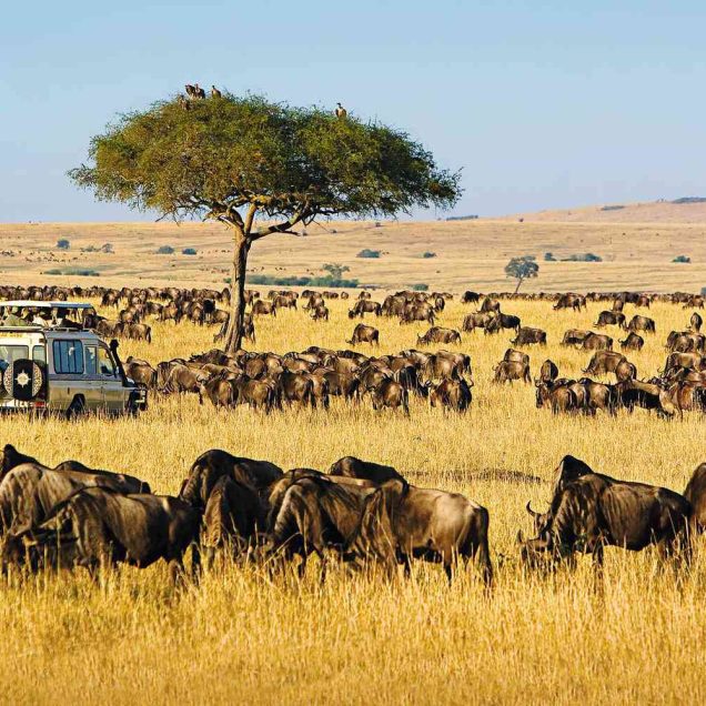 Tanzania