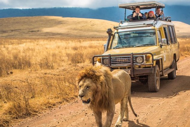 4-Day Private Tazania Luxury Safari