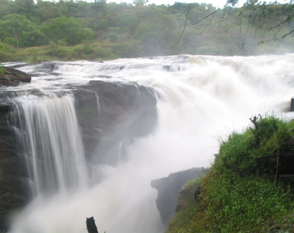 Uganda-safaris-to-Murchiso-falls