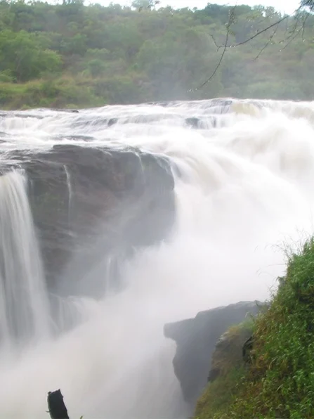 Uganda-safaris-to-Murchiso-falls